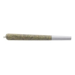 Single pre-roll Rosy joint on a white background.