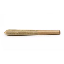 Single pre-roll Granddaddy joint on a white background.