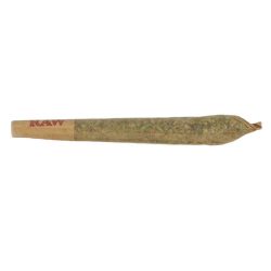 Single pre-roll Mac1 joint on a white background.