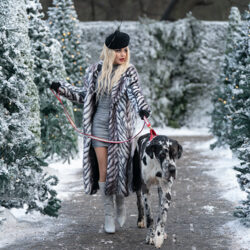 Vanessa Hudgens holding a dog leash, flanked by snow dusted trees, from the movie The Princess Switch 3: Romancing the Star.
