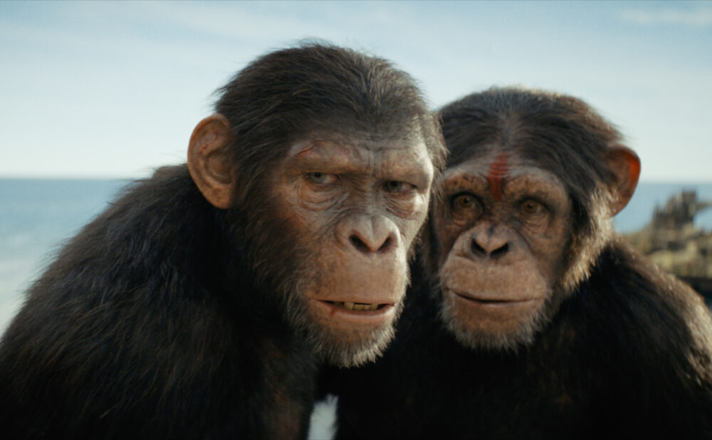 A scene from ‘Kingdom of the Planet of the Apes’